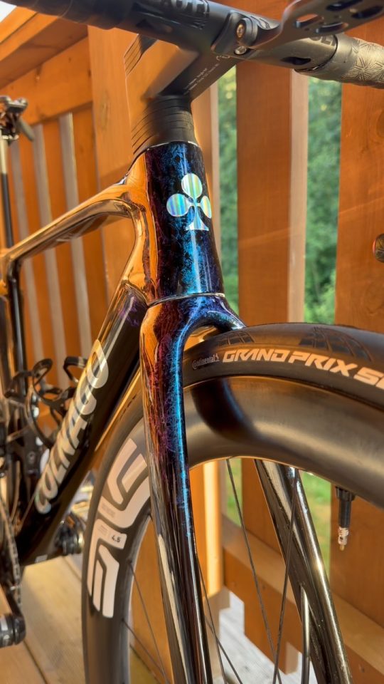 Certaines peintures ne se regardent pas… elles se contemplent.

Le Colnago V5Rs